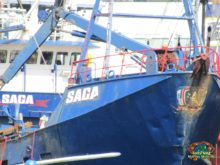 saga deadliest catch boat bill bay summer wild fishermen captain pacific ak seattle sea crabber bering alaska terminal wheelhouse fishing