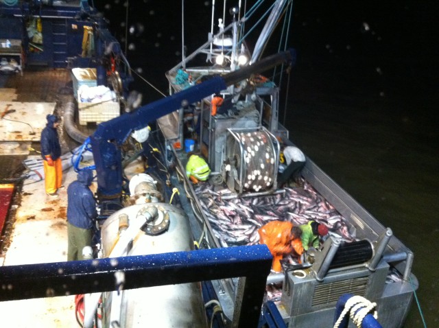 Breanna A. Sean Dwyer Family Boat, Summer Salmon Tender, Now Deadliest Catch, AK Bering Sea Crabber