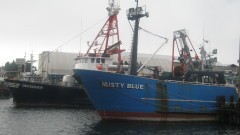 F/V Misty Blue & F/V Defender, Pacific Fishermen Shipyard, Ballard WA, Burrr... cold winter!