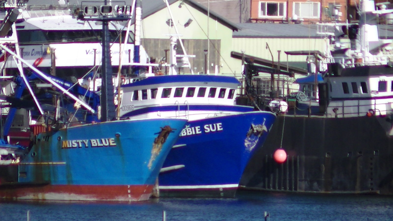 F/V Misty Blue & F/V Debbie Sue, Ballard WA | Salty Dog Boating News ...