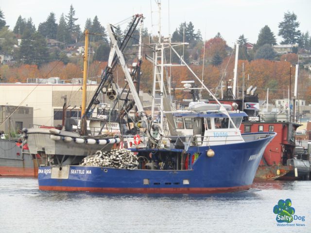 Kona Rose, SE AK Seine Fishing Boat, back in the PNW Ship Canal after Summer Salmon Season, Departing Fishermen's Terminal Passing from Bristol Bay Salmon Tenders! Photography by: Salty Dog Boating News, Salty Sea Chick, PNW Canal Marine Traffic Source!