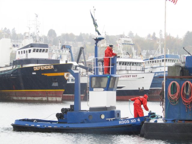 Seaborn Pile Driving, Tug Koos, Capt. Jason, Running a barge back, Pro's at Residential Marine Construction, Photography by: Salty Dog Boating News, PNW