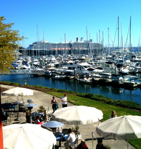 Feature Image - Elliott bay marina pic in Leukemia cup story
