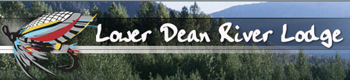 lower dean
