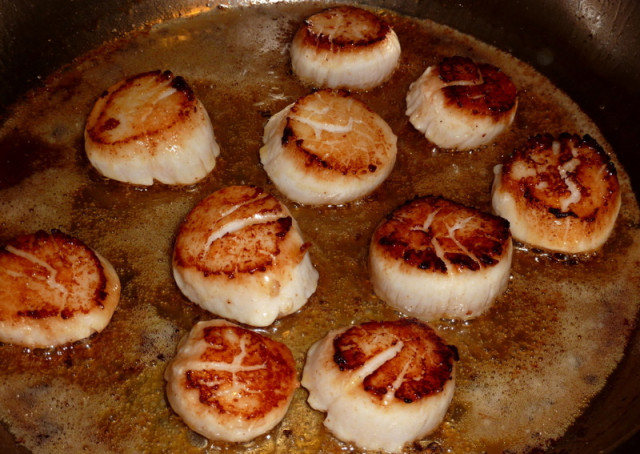 scallops