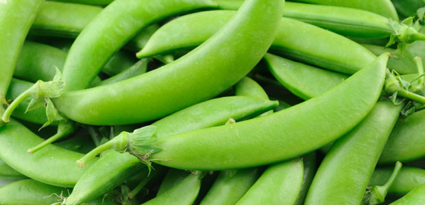 sugar_snap_peas00