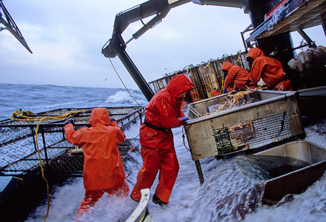 LFS Seattle, LFS Alaska, Deadliest Catch Boats Seattle, Seattle Marine  Supply Ballard, Fisheries Supply, Trident Seafoods LFS Naknek Seattle