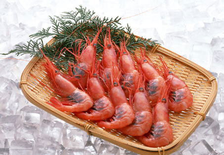 pink-shrimp2
