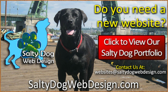 Salty Dog Web Design, Who needs a new website