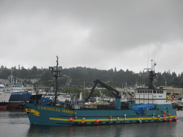 F/V Cornelia Marie, Deadliest Catch Boat Seattle Shipyard Work, F/V ...