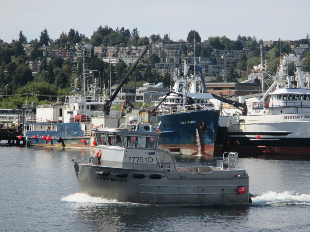 F/V Honey Badger, Kvichak Gillnetter, Seattle Ship Canal, F/V Sea Bird also just got home from AK - Welcome Home AK Fishermen!