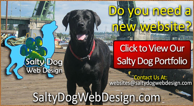 Salty-Dog-Web-Design-Who-needs-a-new-website-640x350