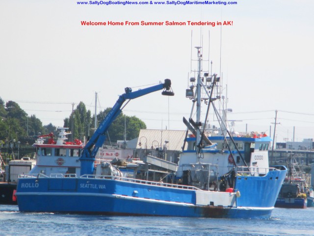 F/V Rollo, AK Bering Sea Crabber, Summer Salmon Tendering Welcome Home, Pulling into Fishermen's Terminal in the Seattle Ship Canal, Last week of Aug. HOT, SUNNY, PNW! 