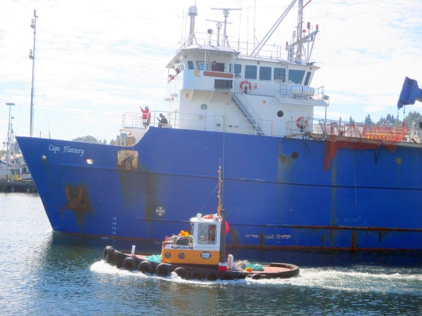 F/V Cape Flattery, NOAA Research Vessel, Fremont Tugboat, Ship Canal Marine Traffic