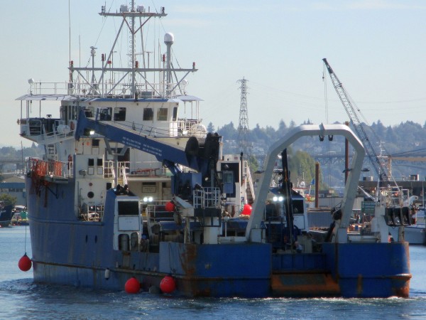 NOAA Research Vessel M/V Cape Flattery, Gulf to Alaska Survey Research at Sea