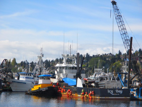 F/V Northwestern, Deadliest Catch Shooting A Commercial, Tug Wasp, Icy Bay Tossing in a Gillnetter, Fishermen's Terminal