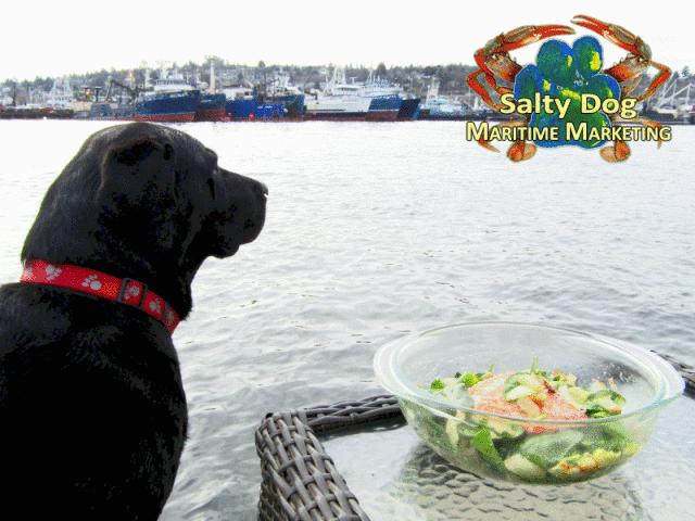 Salty Dog Lab Mascot, Salty Dog Waterfront Lunch Dining, Marine Traffic Boat Spotting