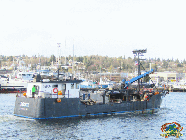 F/V Rogue, Silver Bay Seafoods AK Tender, just left for summer AK Salmon Tender Season Running up hill to Alaska