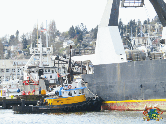 F/V Defender, 195 ft. Global Seas Pollock Boat, Flyer Western Towboat, Seattle Assist