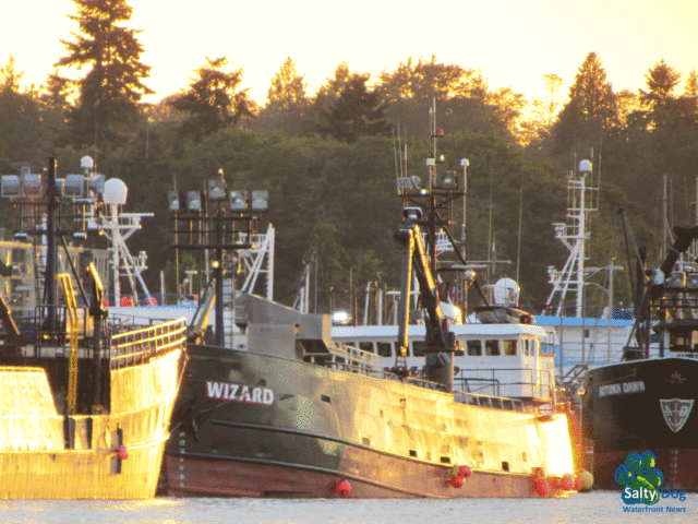 Wizard, Deadliest Catch Seattle Home Port, AK Bering Sea Crabber, Ship Canal Time to Salmon Tender!!!