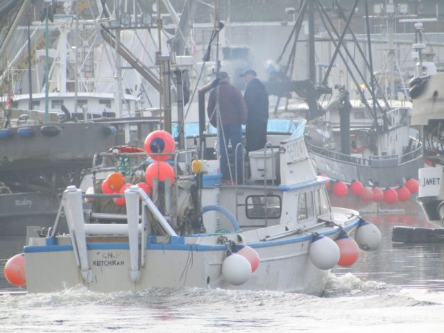 Foggy Morning Gillnetter Pulls Into Fishermen's Terminal, PNW Fall Fishing