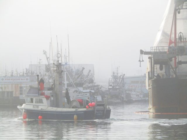 Gillnetters Pulling Into Fishermen's Terminal Fall Fishing PNW, Extra Foggy!