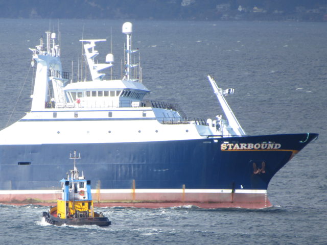 C/P Starbound, Catcher Processor, Western Towboat TugBoat Assist, To Ballard Locks