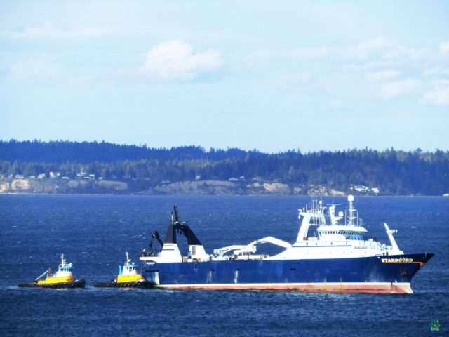 Starbound, Aleutian Spray Fisheries, Western Towboat Assist Through Ballard Locks