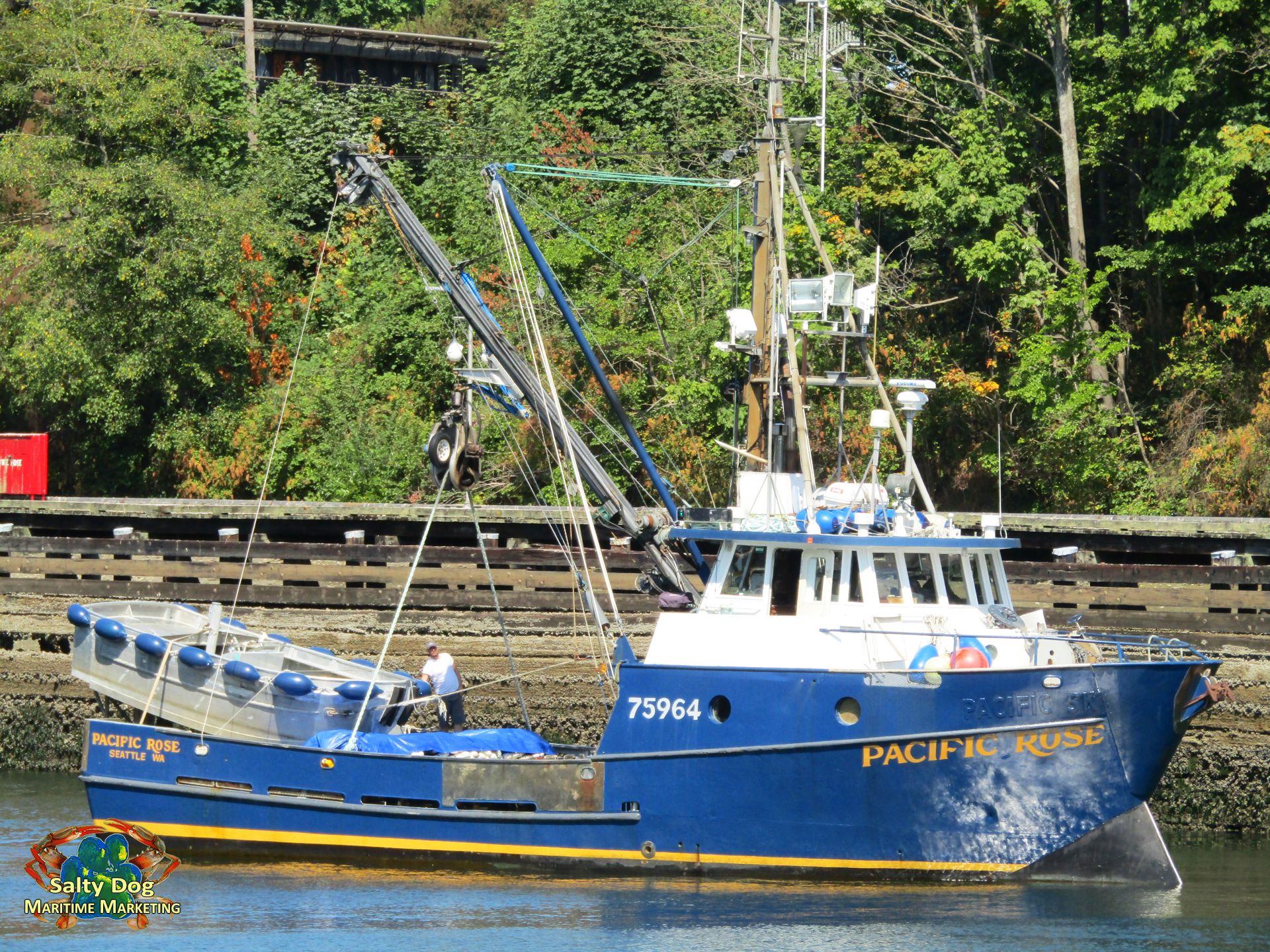 F/V Pacific Rose, Alaska Purse Seine Fishing Boat, Ballard Locks, Pacific  Rose is – One of the 1st AK Seiners Home, To Fishermen's Terminal they go…  Commercial Fishing Photography By: Salty Dog